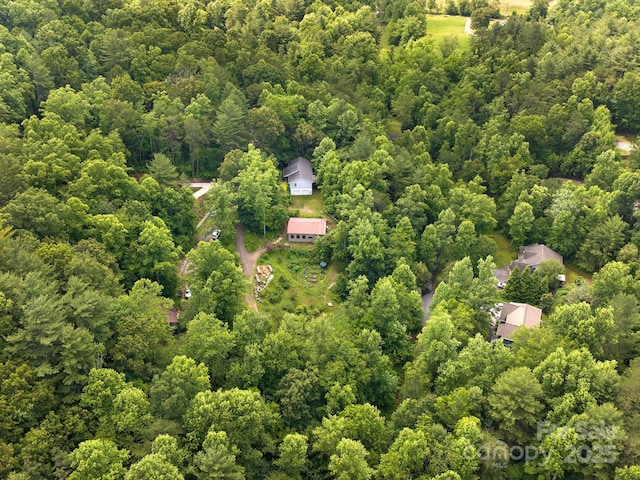 20 Frontier Ct, Asheville, NC 28805 - photo 25