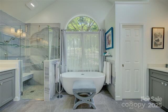 18205 Royal Oak Rd, Charlotte, NC 28278 - bathroom featuring vanity, a shower stall, a soaking tub, and lofted ceiling