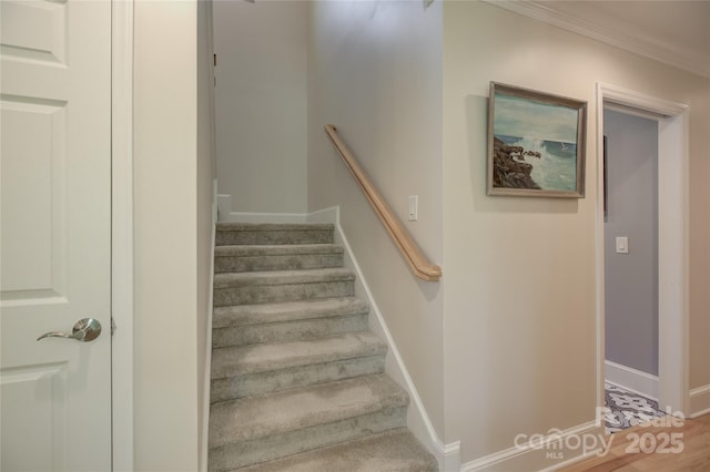 18205 Royal Oak Rd, Charlotte, NC 28278 - stairway with baseboards and crown molding
