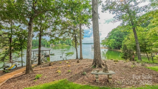 18205 Royal Oak Rd, Charlotte, NC 28278 - water view