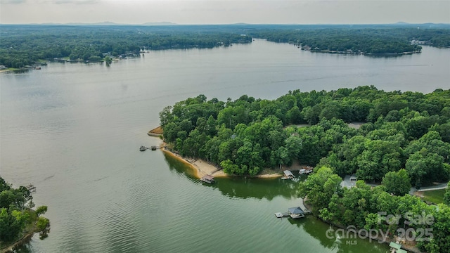 18205 Royal Oak Rd, Charlotte, NC 28278 - bird's eye view of a large body of water and a forest