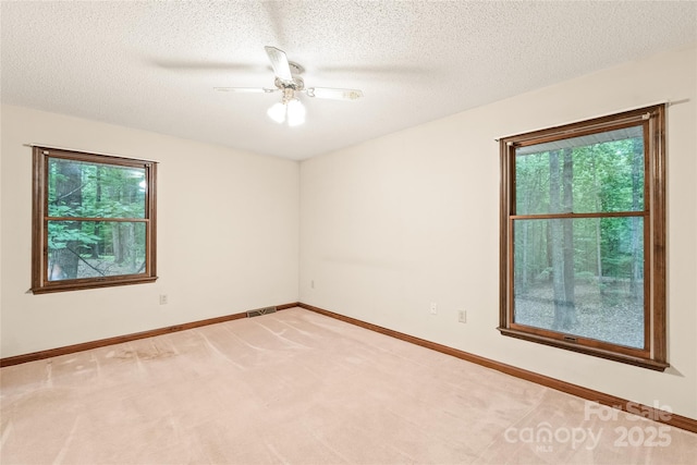 3985 Well Rd, Mint Hill, NC 28227 - spare room featuring plenty of natural light, light colored carpet, a ceiling fan, baseboards, and a textured ceiling