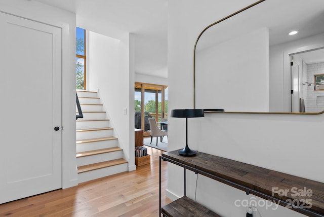 20 Malvern Walk, Asheville, NC 28806 - photo 2