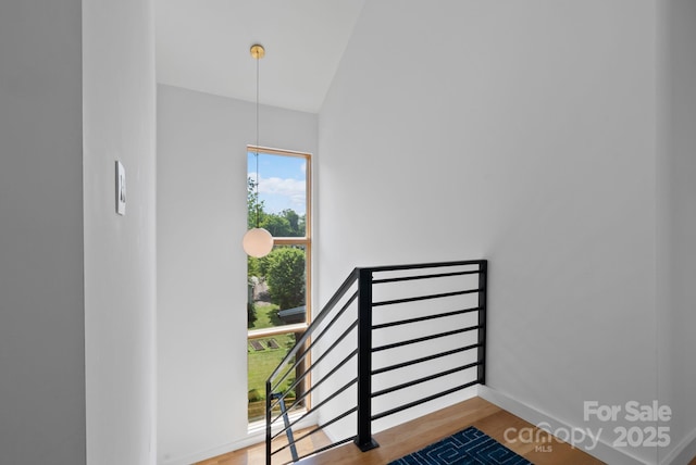 20 Malvern Walk, Asheville, NC 28806 - photo 22