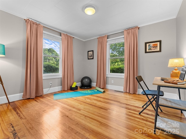 301 Carolina Ave, Brevard, NC 28712 - photo 23