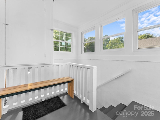 301 Carolina Ave, Brevard, NC 28712 - photo 28
