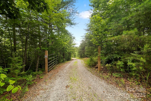 231 Bible School Rd, Lake Lure, NC 28746 - view of dirt / gravel road