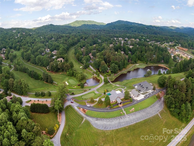 213 Sports Village Dr, Hendersonville, NC 28739 - photo 29