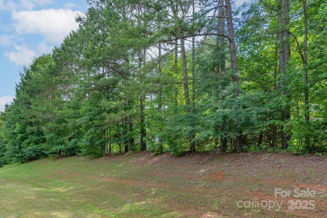 11922 Kimberfield Rd, Matthews, NC 28105 - view of yard