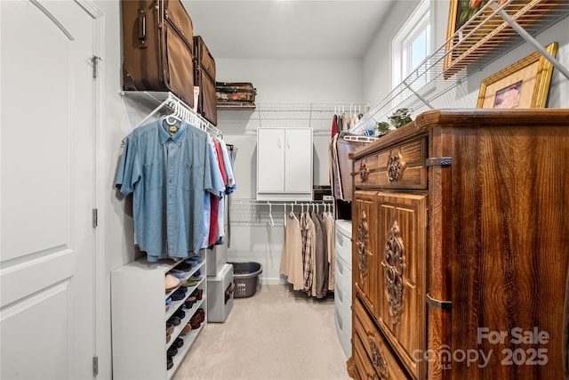 2399 Ashbourne Pl SE, Concord, NC 28025 - view of spacious closet
