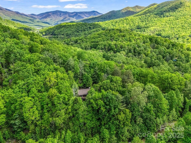 124 Richard Ln, Black Mountain, NC 28711 - photo 4
