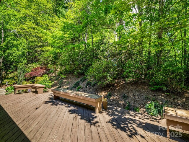 124 Richard Ln, Black Mountain, NC 28711 - photo 9