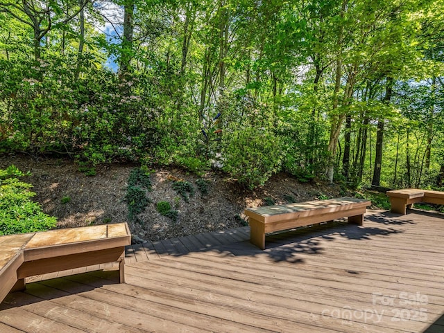 124 Richard Ln, Black Mountain, NC 28711 - photo 10