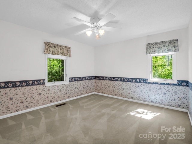 124 Richard Ln, Black Mountain, NC 28711 - photo 23