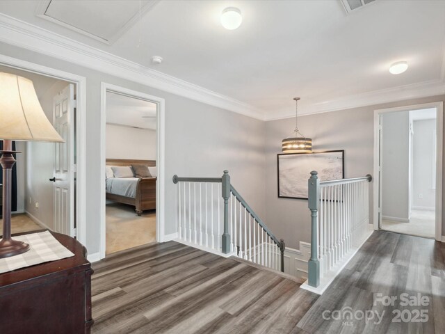 13314 Pontchatrain Ave, Charlotte, NC 28273 - photo 17