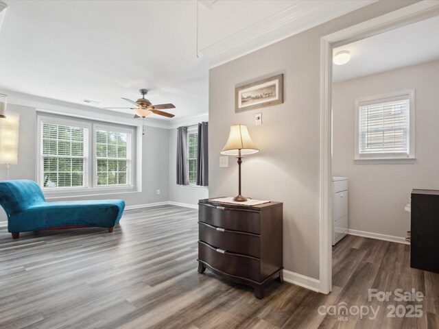13314 Pontchatrain Ave, Charlotte, NC 28273 - photo 19