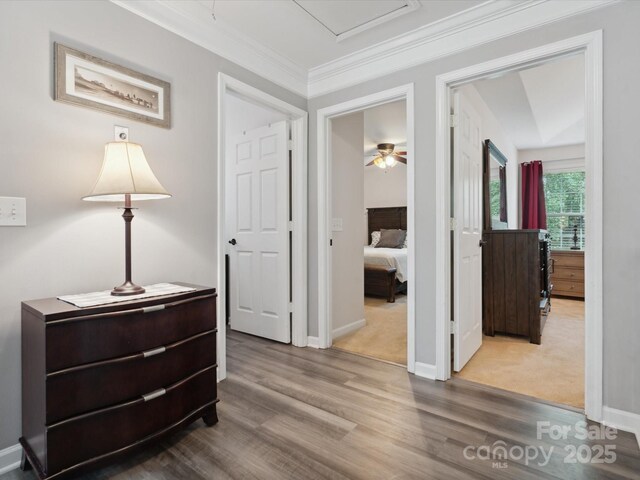 13314 Pontchatrain Ave, Charlotte, NC 28273 - photo 26
