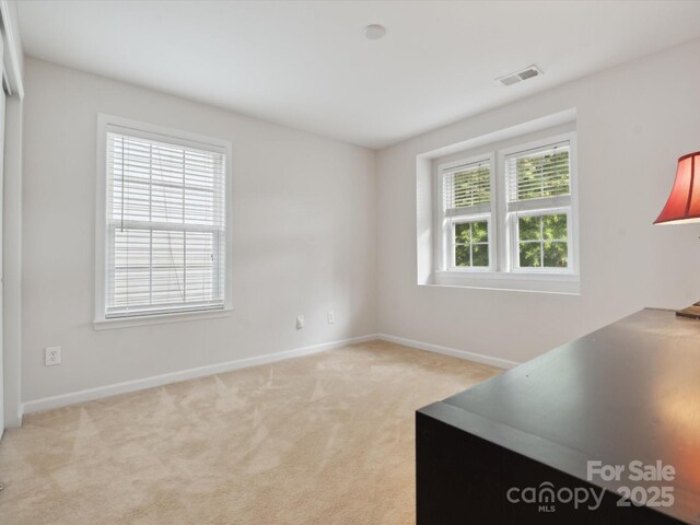 13314 Pontchatrain Ave, Charlotte, NC 28273 - photo 29