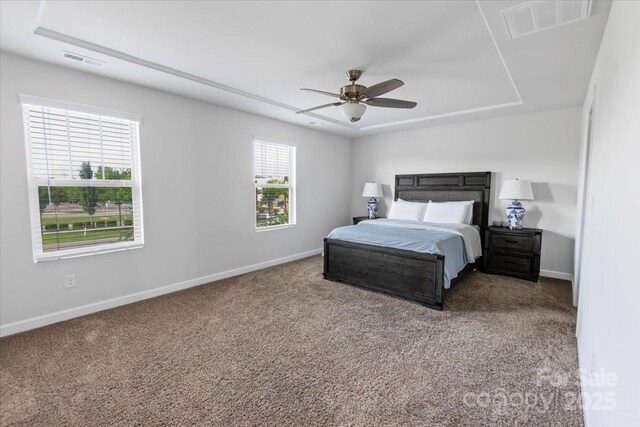 11965 Hambright Rd, Huntersville, NC 28078 - carpeted bedroom with a raised ceiling and a ceiling fan