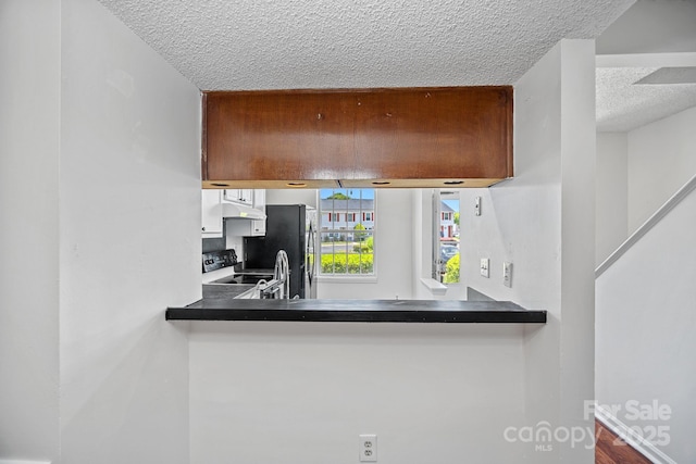 218 Water Oak Dr, Pineville, NC 28134 - detailed view of a textured ceiling, under cabinet range hood, freestanding refrigerator, range with electric stovetop, and dark countertops