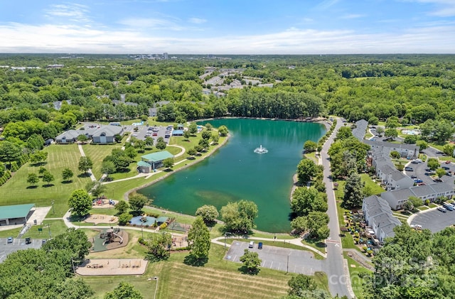 218 Water Oak Dr, Pineville, NC 28134 - bird's eye view of a large body of water and a forest