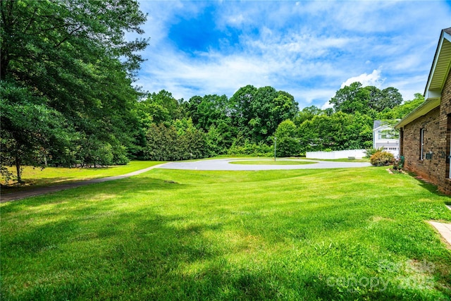 141 Aberdeen Dr, Troutman, NC 28166 - photo 38