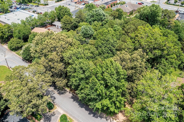 V/L 1st St NE, Hickory, NC 28601