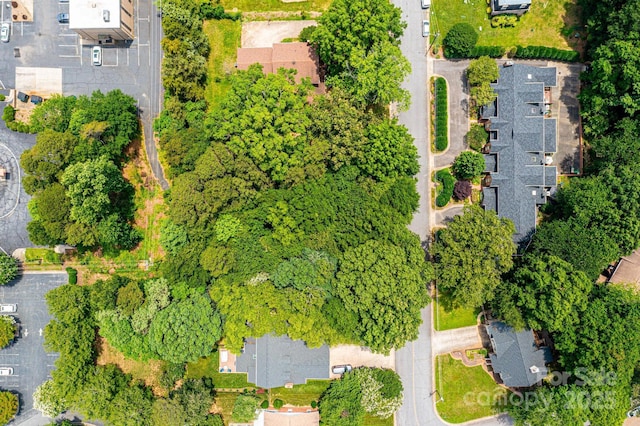 V/L 1st St NE, Hickory, NC 28601