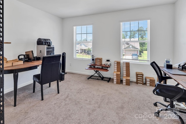 171 Old Harbor Dr, Mount Gilead, NC 27306 - home office with carpet and baseboards