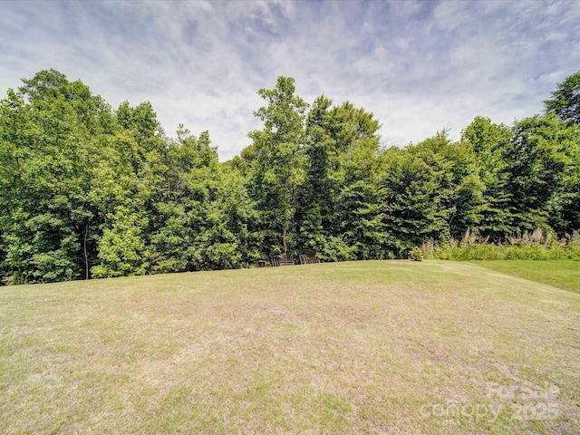 5121 Arbordale Way, Mount Holly, NC 28120 - view of green lawn
