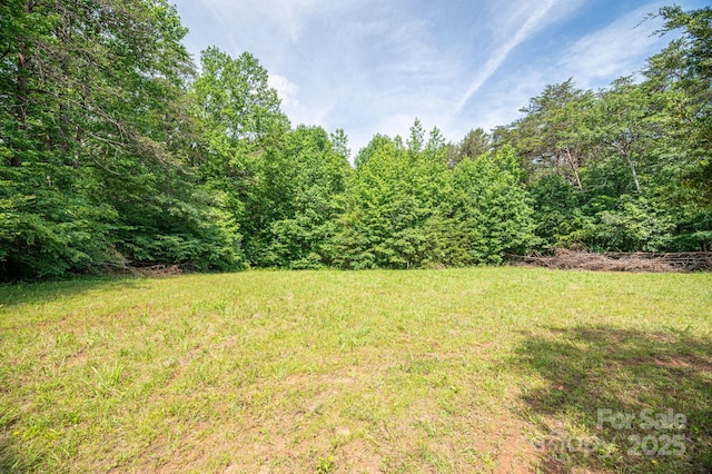 0 Duffy Powell Ln, Vale, NC 28168