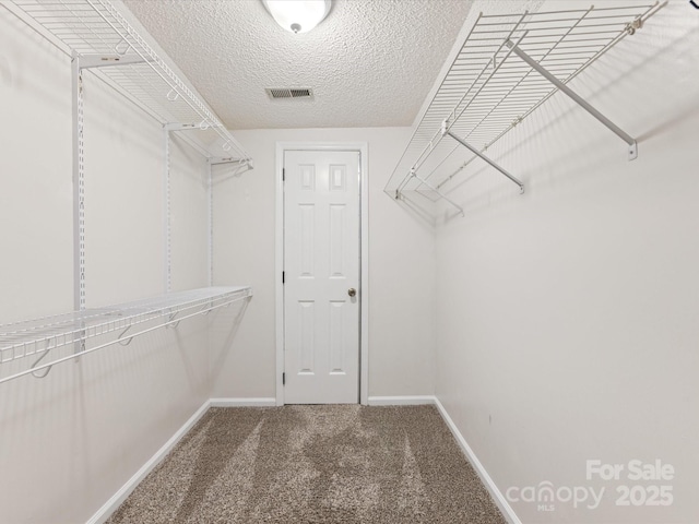 9908 Park Springs Ct, Charlotte, NC 28210 - spacious closet with carpet floors