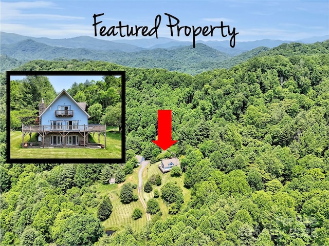 1592 Piney Hill Rd, Burnsville, NC 28714 - photo 3