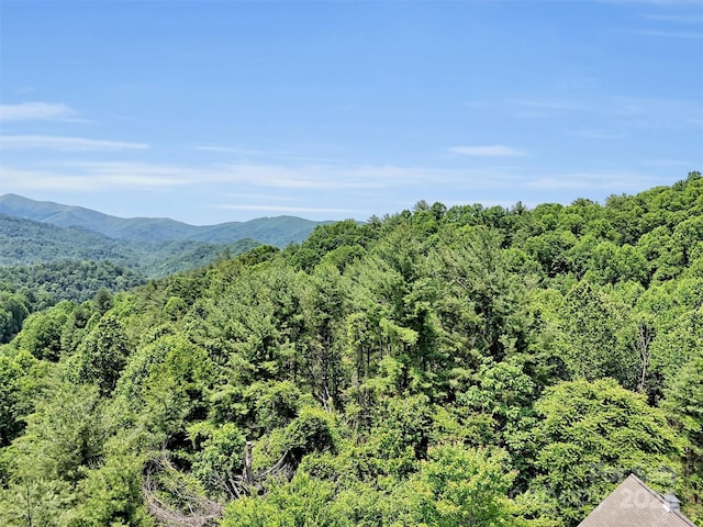 1592 Piney Hill Rd, Burnsville, NC 28714 - photo 4