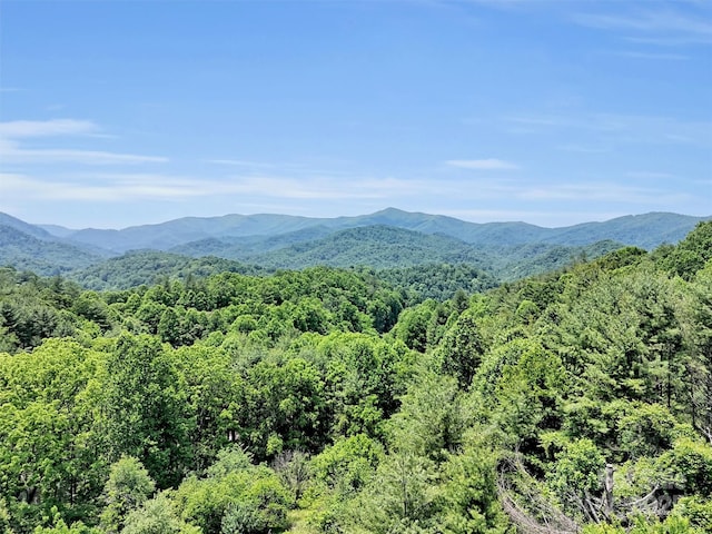 1592 Piney Hill Rd, Burnsville, NC 28714 - photo 5