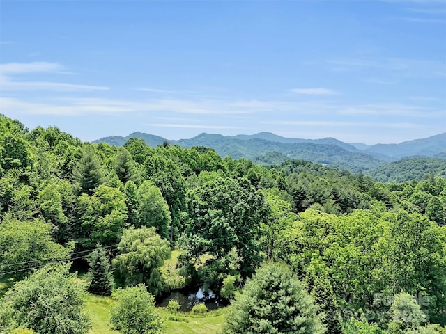 1592 Piney Hill Rd, Burnsville, NC 28714 - photo 6
