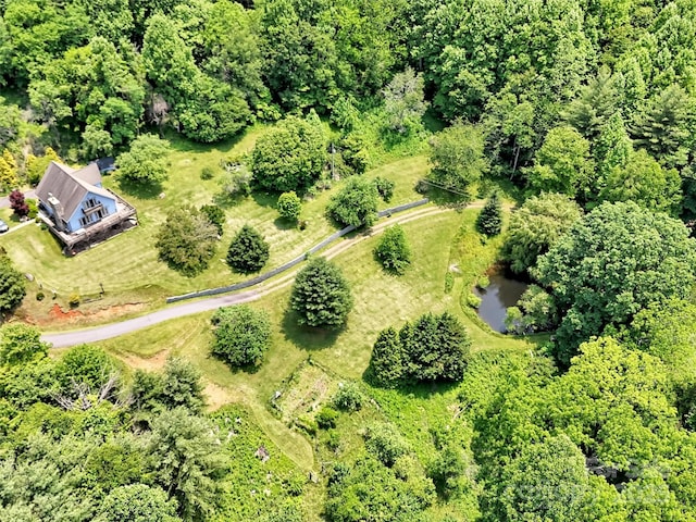 1592 Piney Hill Rd, Burnsville, NC 28714 - photo 11