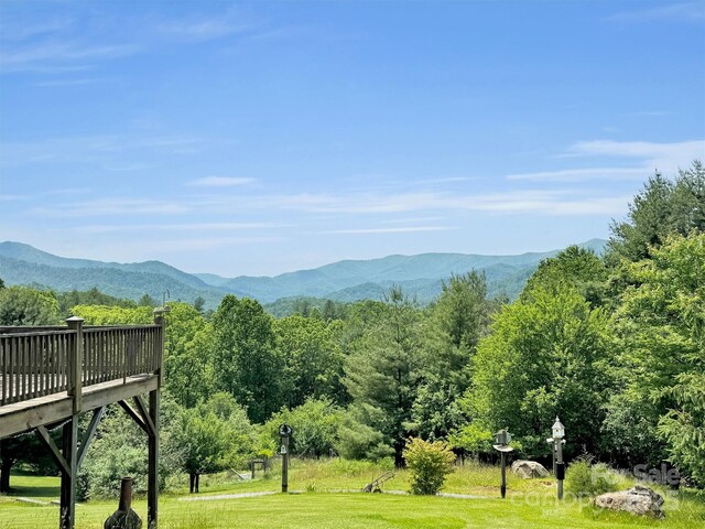 1592 Piney Hill Rd, Burnsville, NC 28714 - photo 19