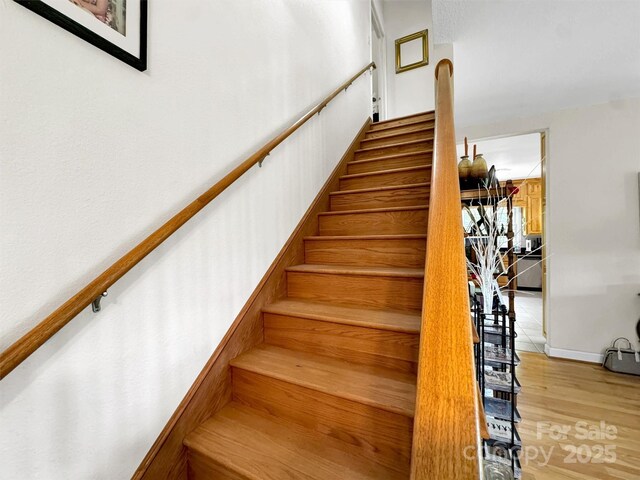1592 Piney Hill Rd, Burnsville, NC 28714 - photo 40