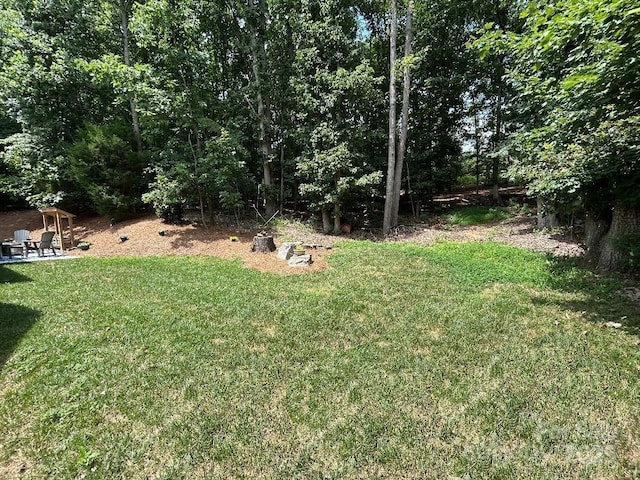 11646 Hidden Forest Ln, Davidson, NC 28036 - photo 43