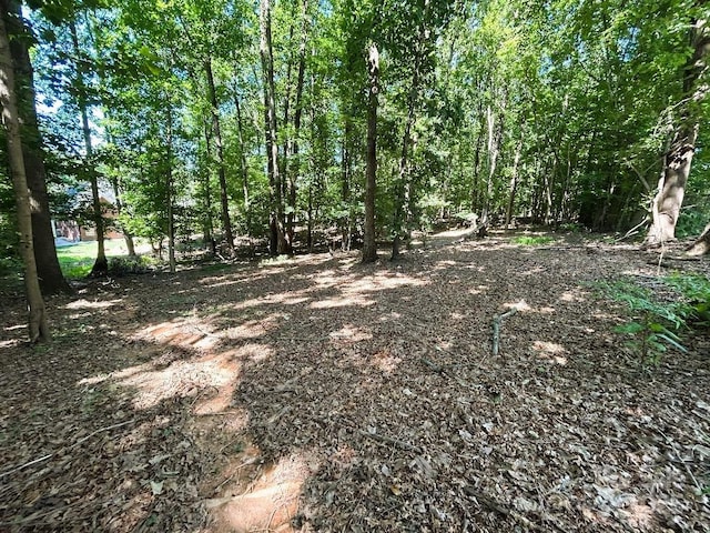 11646 Hidden Forest Ln, Davidson, NC 28036 - photo 44