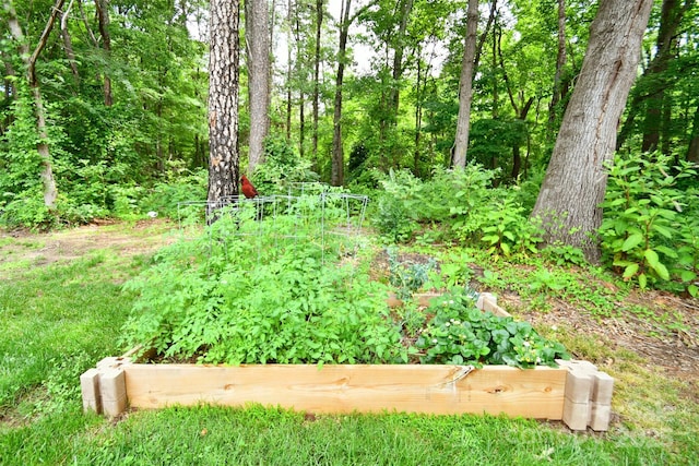 339 Brown Rd, China Grove, NC 28023 - view of yard with a vegetable garden