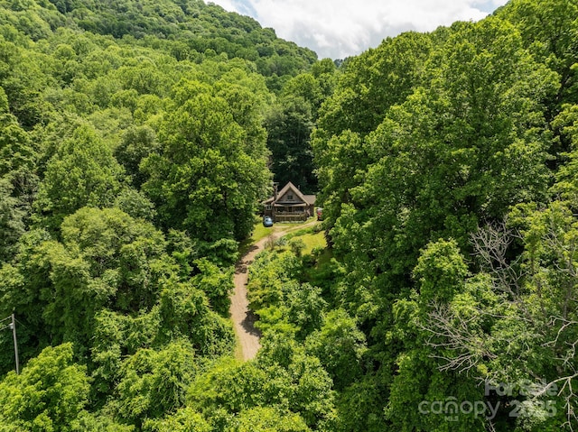 687 Willow Creek Rd, Leicester, NC 28748 - aerial view of a forest