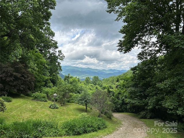 687 Willow Creek Rd, Leicester, NC 28748 - view of mountain background featuring a forest