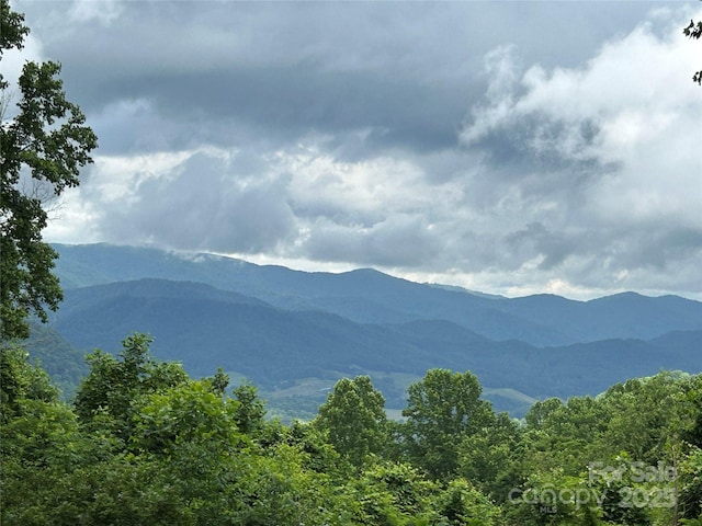 687 Willow Creek Rd, Leicester, NC 28748 - view of mountain backdrop