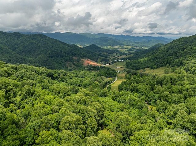 687 Willow Creek Rd, Leicester, NC 28748 - mountain view with a forest