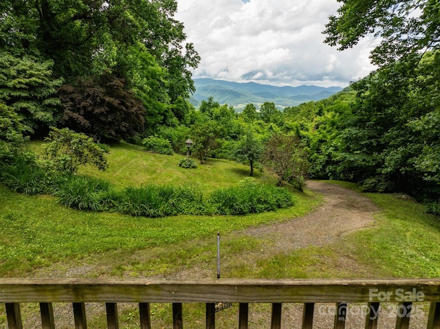 687 Willow Creek Rd, Leicester, NC 28748 - view of mountain background featuring a heavily wooded area