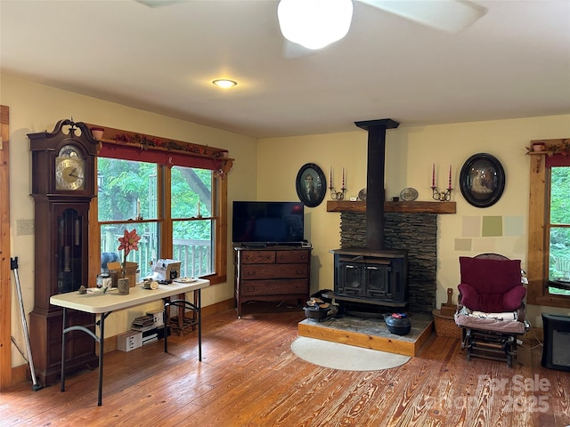 687 Willow Creek Rd, Leicester, NC 28748 - living area with a wood stove, hardwood / wood-style floors, and plenty of natural light
