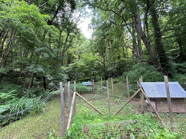 687 Willow Creek Rd, Leicester, NC 28748 - view of yard featuring a view of trees