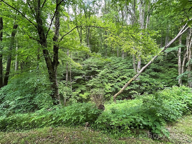 687 Willow Creek Rd, Leicester, NC 28748 - view of woods